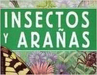 INSECTOS Y ARAÑAS (GUIAS GIGANTES)