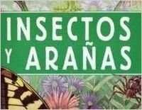 INSECTOS Y ARAÑAS (GUIAS GIGANTES)