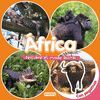 AFRICA DESCUBRE EL MUNDO ANIMAL