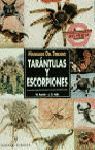 TARANTULAS Y ESCORPIONES