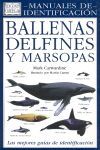 BALLENAS,DELFINES Y MARSOPAS