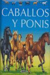 CABALLOS Y PONIS (NATURALEZA JOVEN)