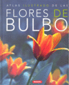 FLORES DE BULBO (ATLAS ILUSTRADO)