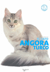GATO ANGORA TURCO