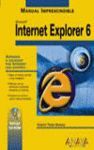 INTERNET EXPLORER 6 (MANUAL IMPRESCINDIBLE)