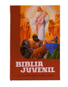 BIBLIA JUVENIL 0 (CARTONE)