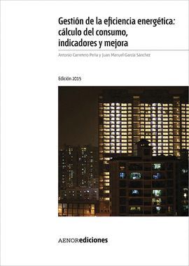 GESTION DE LA EFICIENCIA ENERGETICA: CALCULO DEL CONSUMO, INDICAD