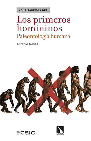 PRIMEROS HOMININOS:PALEONTOLOGIA HUMANA