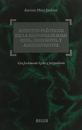 ASPECTOS PRACTICOS DE LA RESPONSABILIDAD CIVIL,MERCANTIL Y