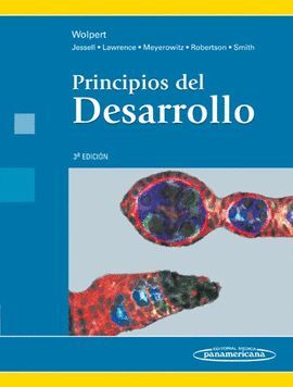 PRINCIPIOS DEL DESARROLLO 3ª EDICION