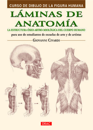 LAMINAS DE ANATOMIA:ESTRUCTURA OSEO,ARTRO,MITOLOGIA C.HUMA.