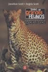 DIARIO DE GRANDES FELINOS:LEOPARDOS